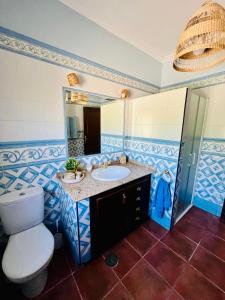 塞维利亚Casa con piscina privada的一间带卫生间、水槽和镜子的浴室