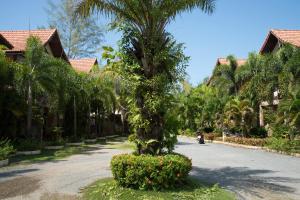 象岛索菲亚花园度假酒店的一条街道中央花床上的棕榈树