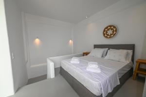 Evilion Villas Tinos 2平面图