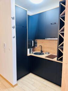 布德瓦Apartment Juliette Budva的厨房配有蓝色橱柜和水槽