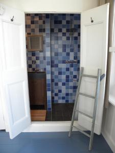 Onderdendam胡戈霍特耶住宿加早餐旅馆的浴室设有淋浴前的梯子