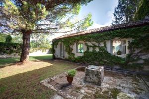 穆罗莱切塞Tenuta Sant'Andrea的院子里有盆栽的房屋