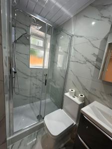 格林福德Luxury House的带淋浴、卫生间和盥洗盆的浴室