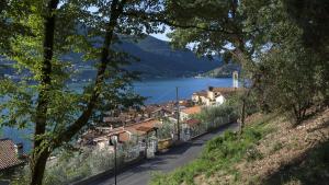 蒙泰伊索拉L'Isola dei Sapori的山丘上的小镇,享有湖景