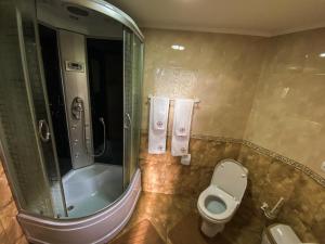 拉泽希纳Коттедж "Пятое Колесо" 1的带淋浴、卫生间和盥洗盆的浴室