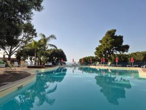 迪亚曼特瓜尔达哥斯达酒店的一座拥有蓝色海水和树木及椅子的游泳池