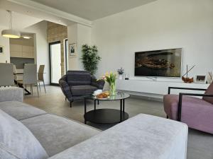 塞维德Villa VI的客厅配有沙发和桌子