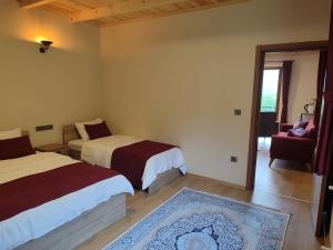 里泽Maçkun Suite的一间带两张床的卧室和一间客厅