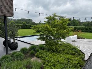 阿尔斯霍特De verloren hoek的花园设有游泳池,种植了树木和植物
