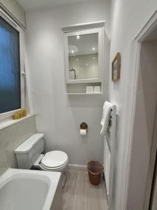 爱丁堡Welcoming Morningside Escape的一间带卫生间、水槽和窗户的浴室