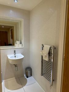 伦敦Canary Wharf Apartments的一间带水槽和镜子的浴室