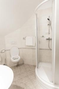 比尔森普尔科米斯特尔酒店的带淋浴、卫生间和盥洗盆的浴室