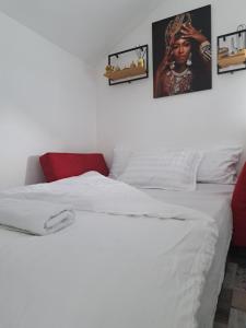 拉克塔希Apartman Mihaela的一张铺有白色床单的床和墙上的照片