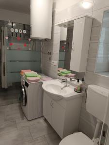 DražiceHoliday house Dalinda的一间带水槽和洗衣机的浴室