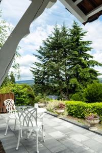 施特龙贝格Ferienhaus Leonidas的庭院设有两把白色椅子和一棵树