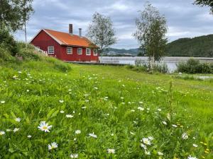 纳姆索斯Stille og landlig, men sentrumsnær leilighet的花丛中间的红色谷仓