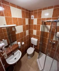 佩奇柯尼希酒店的浴室配有卫生间、盥洗盆和淋浴。