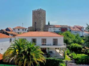 拉梅戈Douro Mool Guest House的棕榈树和城堡的房子