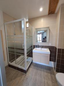 Odeillo-ViaLe Grenier des Moineaux的带淋浴、盥洗盆和镜子的浴室