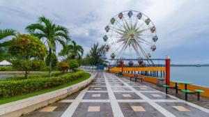 SengkuangThe Golden Bay Hotel Batam的公园里的一个摩天轮,有长椅和骑车