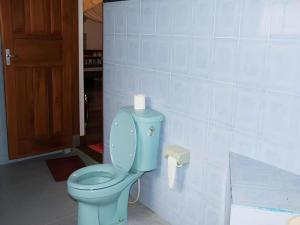 PalasariPuri Eling Blimbingsari Hotel的一间位于客房内的蓝色卫生间的浴室