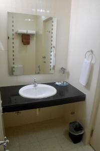钦奈Peace Inn Chennai的一间带水槽和大镜子的浴室