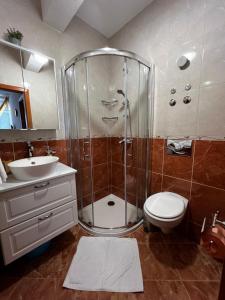 波尔Villa Marina - Sea view的带淋浴、卫生间和盥洗盆的浴室