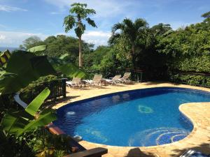 诺萨拉芒果住宿加早餐别墅酒店的一个带椅子和桌子的游泳池以及树木