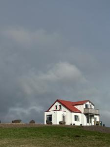 霍芬Sauðanes Guesthouse的田野上带红色屋顶的白色谷仓