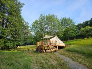 兹拉特霍里Glamping Zlaté Podlesí #2的田野中间的帐篷