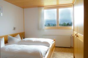 苏尔茨贝格罗斯农家乐的一间卧室设有一张床和一个窗口