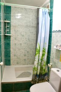 科布列韦Ассоль的带淋浴、卫生间和浴帘的浴室
