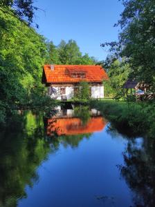 SittersdorfFerienhaus Klopeinersee Kärnten的一座房子,有橙色屋顶,位于河边