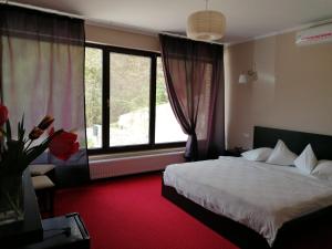 杜博瓦乡Pensiunea Decebal Resort - Cazanele Dunarii的一间卧室设有一张床和一个大窗户
