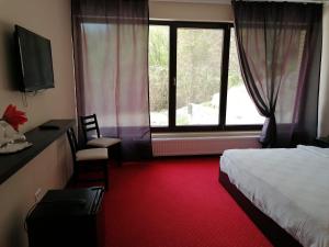 杜博瓦乡Pensiunea Decebal Resort - Cazanele Dunarii的酒店客房设有一张床和一个大窗户