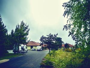 KamieńskWrzosowa的享有街道的景色,拥有房子和树木