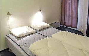 海姆瑟达尔Awesome Apartment In Hemsedal With Sauna的一间卧室,配有两张床