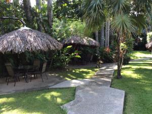 帕伦克Hotel Maya Palenque的相册照片