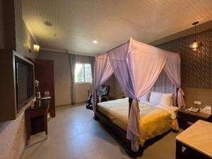 高雄金银岛汽车旅馆-仁武店的一间卧室配有一张天蓬床和一台电视机