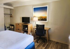 丹佛戴斯丹佛市中心酒店的酒店客房配有一张床和一张带电脑的书桌