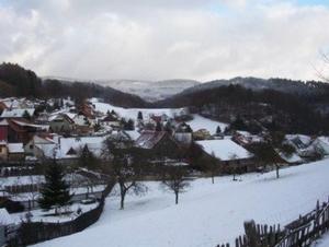 布罗特罗德Gemütliche Ferienwohnung in Elmenthal mit Terrasse, Grill und Garten的一座被雪覆盖的有树木和房屋的城镇
