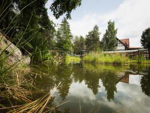 奥尔什丁Warmia Park的享有树木池塘和房屋的景色