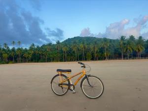 爱妮岛Eco Sanctuaries Nature Lodge Nacpan Beach, El Nido的一辆自行车停在棕榈树环绕的海滩上