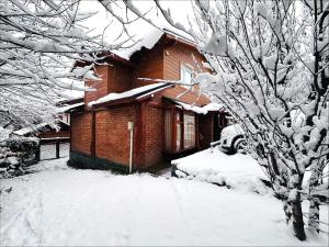 圣卡洛斯-德巴里洛切努贝斯山林小屋的树旁的雪屋