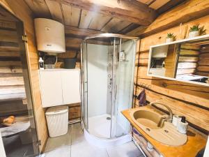 PalukülaPaluküla Saunas and Glamping的带淋浴和盥洗盆的浴室