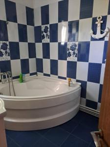 茹里洛夫卡Casa antonyo的带浴缸和蓝色及白色瓷砖的浴室