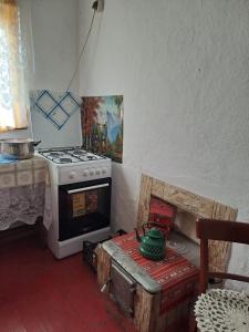 茹里洛夫卡Casa antonyo的厨房配有炉灶和带桌子的四柱床。