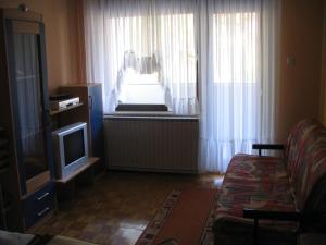 兹雷切Apartment Milan的带沙发、电视和窗户的客厅