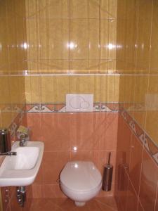 兹雷切Apartment Milan的一间带卫生间和水槽的浴室
