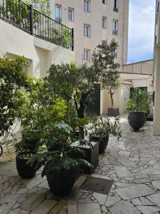 圣但尼studio Cristiano Garcia stade de France的种有盆栽树木的庭院和一座建筑